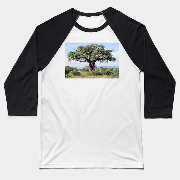 Hole in the Baobab Tree Baseball T-Shirt by JohnDalkin